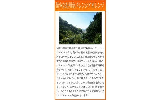 秀品　希少な国産バレンシアオレンジ　2.5kg　※2026年6月下旬頃～7月上旬頃 順次発送予定（お届け日指定不可）【uot752】