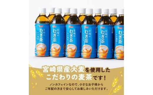 ※本数が選べる※サンA宮崎のむぎ茶　500ml PET 【 飲料 お茶 麦茶 宮崎県産 ペットボトル】 [C03021][C03022]