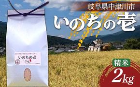 加子母産「いのちの壱」2kg F4N-2717