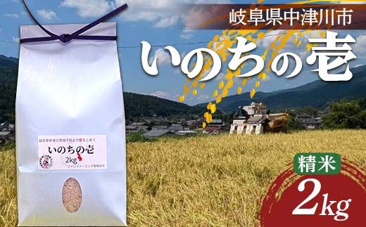 加子母産「いのちの壱」2kg F4N-2717