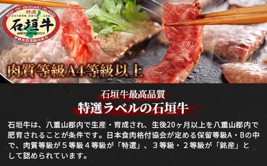 石垣牛すきしゃぶ800g＋焼肉800g特盛セット（いしなぎ屋）【 特選肉 肉 高級 黒毛和牛 和牛 牛 】AB-7