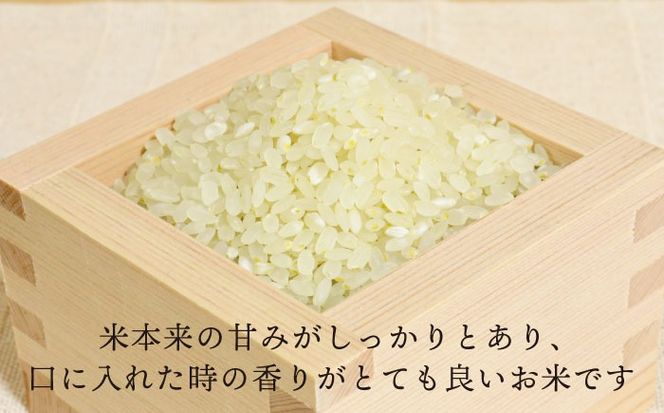 【令和7年産】糸島産 夢つくし 5kg 糸島市 / 糸島王丸農園 ( 谷口汰一 )【いとしまごころ】[AAZ001]