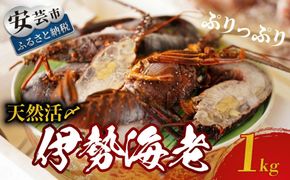 天然活〆伊勢海老 1kg（冷凍）【ご家庭用】 伊勢えび イセエビ 冷凍 活締め 土佐湾 寺尾鮮魚店 老舗 高級 刺身 鍋 蒸し焼き フライ 調理簡単 急速冷凍 新鮮 カット済み 行列 ぷりぷり食感 おせち料理 ギフト プレゼント 贈り物 お取り寄せ グルメ 海鮮 安芸市 高知県