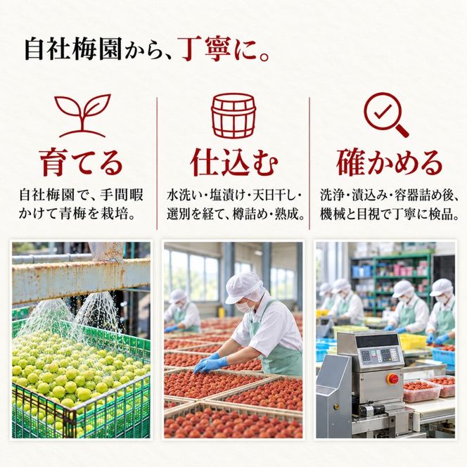 梅風韻(うす塩味梅ぼし) 約500g[高島屋選定品］ 梅干し 