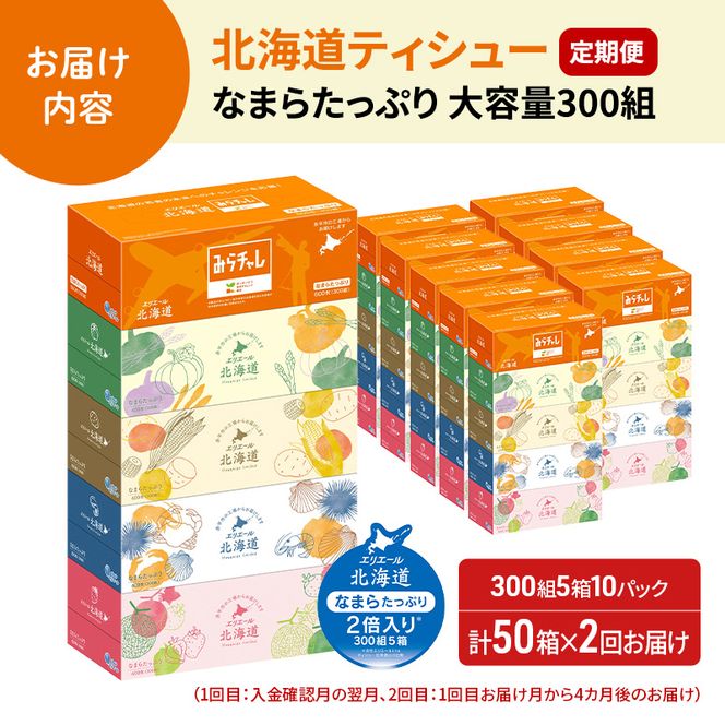 【2回お届け 計100箱】エリエール 北海道 ティシュー なまらたっぷり 300組5箱 10パック 大容量 まとめ買い 防災 常備品 備蓄品 消耗品 日用品 生活必需品 送料無料 赤平市 ストック 