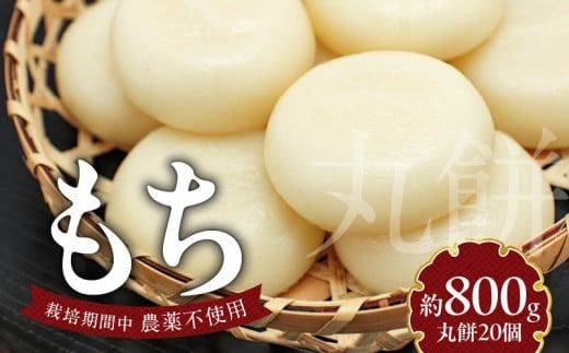 y{茧sz20  N0182-YA0475