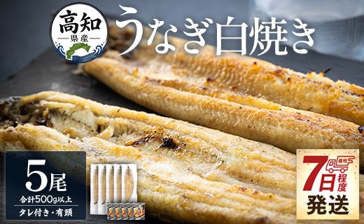鰻 高知県産うなぎの白焼き 100ｇ～120ｇ×5尾 - 国産 鰻 ウナギ 有頭 背開き タレ付き つまみ ご飯のお供 老舗 土佐湾 早い スピード発送 7日程度 早く 届く 吉川水産 高知県 香南市 冷凍 yw-0085