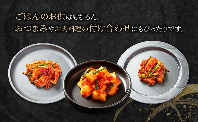 ヨンくんの秘味キムチ 定番キムチ6種セット キムチ おつまみ 韓国食材 韓国料理 静岡県 袋井市