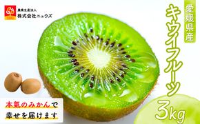 【先行予約】キウイフルーツ（生果）3kg（2026年11月上旬より順次発送） IKTF024