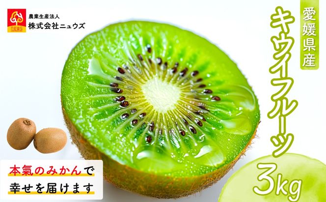 【先行予約】キウイフルーツ（生果）3kg（2026年11月上旬より順次発送） IKTF024