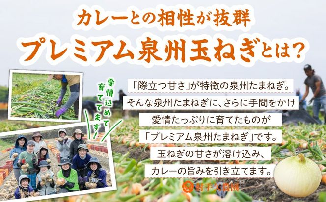 G3706 射手矢農園 特製カレー 5箱セット【本格スパイス たまねぎ なにわ黒牛 時短 冷凍カレー 冷凍食品 保存食 常備食 ピリ辛】