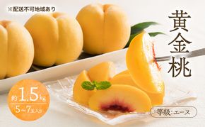 桃 2026年 先行予約 黄金桃 等級 エース 約1.5kg 5～7玉入り もも モモ 岡山 国産 フルーツ 果物 桃茂実苑