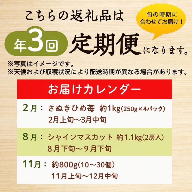 讃岐のフルーツ3回定期便【B】【さぬきひめ苺】【シャインマスカット】【さぬきキウイっこ】