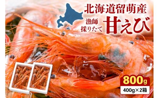 甘エビ 北海道 漁師採りたて 甘えび 400g×2箱 留萌産 あまえび 甘海老 海老 エビ 南蛮エビ つまみ おつまみ ご飯のお供 おかず 海鮮 海産物 海の幸 魚介 魚介類 刺身 お刺身 刺し身 さしみ 天ぷら 冷凍 留萌 R006-006