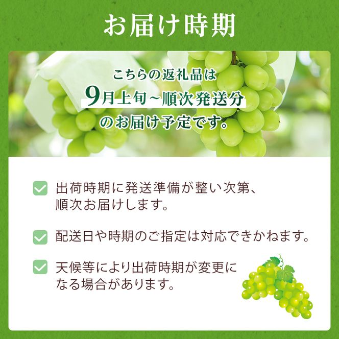 ぶどう 2026年 先行予約 岡山 名産  晴王 シャイン マスカット たっぷり2kg！9月上旬以降順次発送 ギフトにも ブドウ 葡萄  岡山県産 国産 フルーツ 果物 種なし 皮ごと 濃厚な甘み 上品な香り 