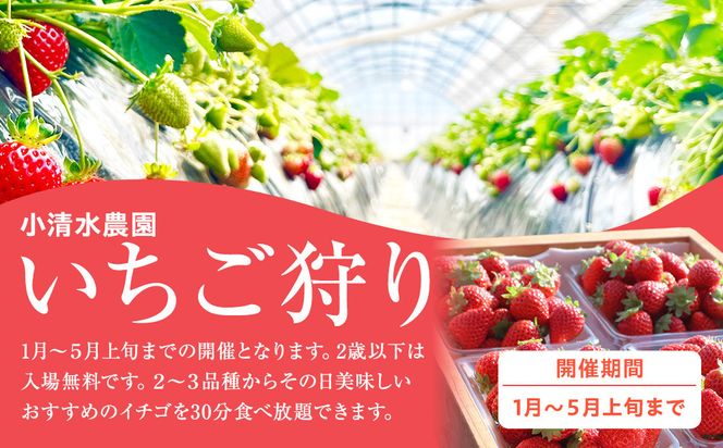 いちご狩り　入場券　2名様　食べ放題30分 142069_CP010