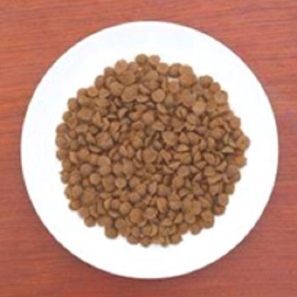 【成犬用フード/オーガニック/鹿肉/有機野菜/低カロリー】一般食　鹿のめぐみ100g×8　犬 ペットフード お取り寄せ 加工食品 