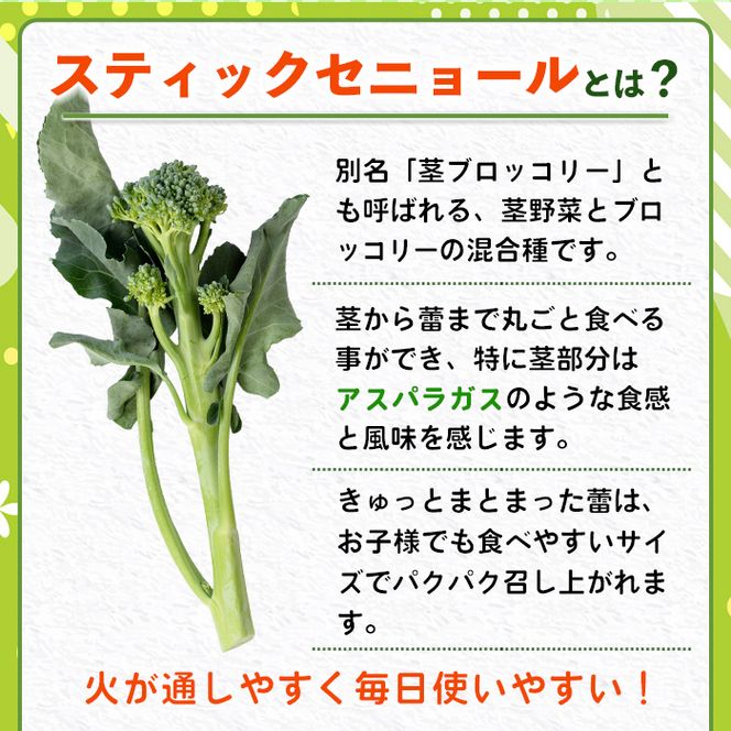 ＜先行予約受付中！2026年11月上旬以降順次発送予定＞ スティックセニョール (3kg) 国産 鹿児島県産 阿久根市産 ブロッコリー 野菜 サラダ お弁当 ピクニック 産地直送 茎ブロッコリー 肉巻き 数量限定 期間限定 【うとさんち】akn067-26