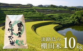 淡路島の棚田米 １０kg　精米 白米