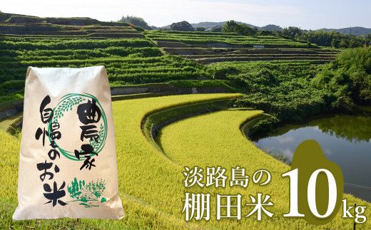 淡路島の棚田米 １０kg　精米 白米