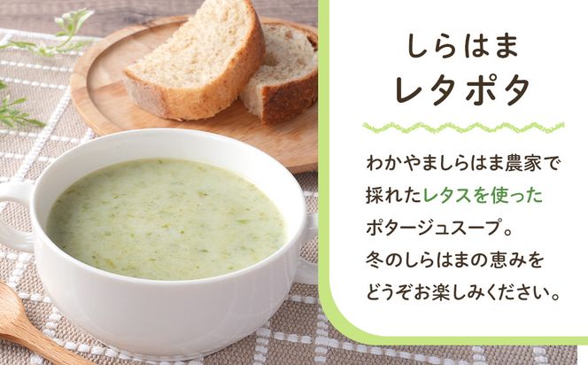 しらはまレタポタ 6袋 セット わかやましらはま農家 特製 ポタージュスープ 304018_DK03