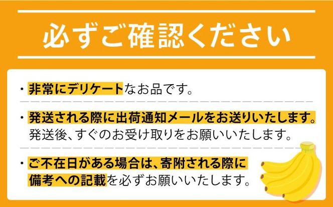 【テレビで話題！】【とても希少な国産バナナをあなたへ！】hotaru バナナ 5本[SFA002]