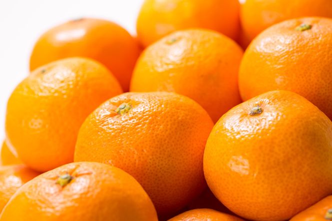 V7450_【2026年先行予約】田村みかん／5kg青秀／サイズ指定なし