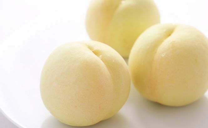 フルーツ 2026年 先行予約 岡山の旬な果物 定期便 ！ 白桃 （早生、中生種）約2kg 6～9玉 シャインマスカット 2房(約1.3kg) 贈答用 岡山県産  果物 ギフト 横木農園 果物類 