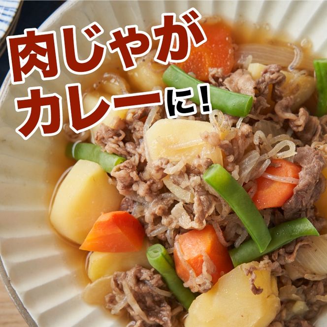 宮崎県産黒毛和牛 贅沢切り落とし1kg(500g×2)×6回定期便 K16_T015