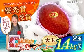 【最優秀賞受賞】沖縄県産 完熟マンゴー 大玉 2個入り マンゴー 沖縄 果物 フルーツ ギフト 沖縄市 / MAIFARM[BCAN006]