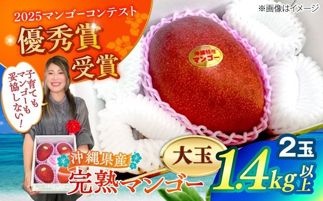【最優秀賞受賞】沖縄県産 完熟マンゴー 大玉 2個入り マンゴー 沖縄 果物 フルーツ ギフト 沖縄市 / MAIFARM[BCAN006]