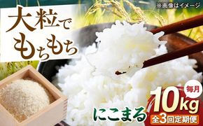 【全3回定期便】 にこまる 玄米品質1等米 白米 10kg 糸島市産 糸島市 / 糸島の恵み コメ こめ ご飯[AGR011]