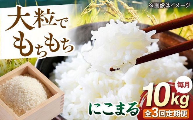 【全3回定期便】 にこまる 玄米品質1等米 白米 10kg 糸島市産 糸島市 / 糸島の恵み コメ こめ ご飯[AGR011]