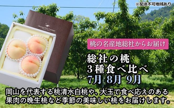 【2026年度発送】総社の桃 3種 食べ比べ 3回 お届け 定期便 （7月・8月・9月） もも モモ 岡山県産 国産 フルーツ 果物