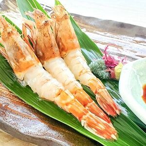 【ふるさと納税】山陰の地エビ希少な「モサエビ」お刺身用 500g以上【配送不可地域：離島】【1286545】