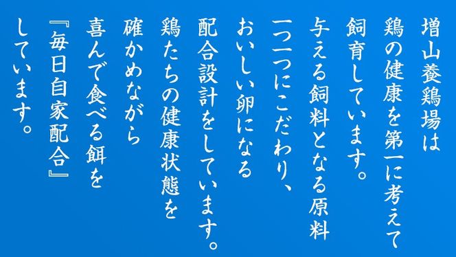 もったいない卵 30粒 ( 26粒 + 破損補償分 4粒) 卵 たまご 鶏 養鶏場直送　新鮮　訳アリ　規格外　お得 ふるさと納税 5000円 [CZ005ya] 