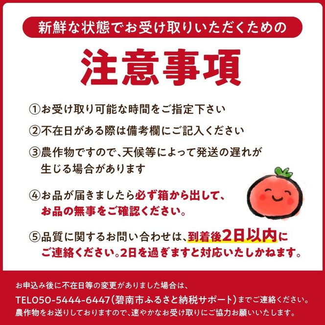 【先行受付】12月～6月毎月発送　プレミアムフルーツトマトの定期便　7回コース 【ソムリエサミット 金賞 受賞】 長田農園 元気玉フルーツトマト 産地直送 トマト とまと 野菜 やさい フルーツ サラダ 濃厚 甘い ご褒美 プレゼント 美容 健康 リピート多数 人気 高評価 数量限定 碧南市 H004-193