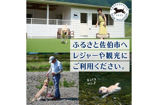 メール便でお届け！ドッグラン利用券(ランチ・スイーツ・お土産付き)(1頭1回分) 犬 ワンちゃん ペット チケット おやつ カフェ 体験 レジャー 自然 屋内 屋内 ラン ポスト投函 大分県 佐伯市【HI001】【ドッグラン&カフェblue mountain】