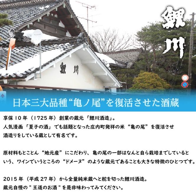 鯉川酒造 純米吟醸 辛口 飲み比べセット 720ml×3本 日本酒 地酒 1725年創業（享保10年）老舗酒蔵 山形 庄内町