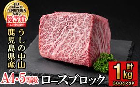 ロースブロック 計1kg(500g×2P) e5-002