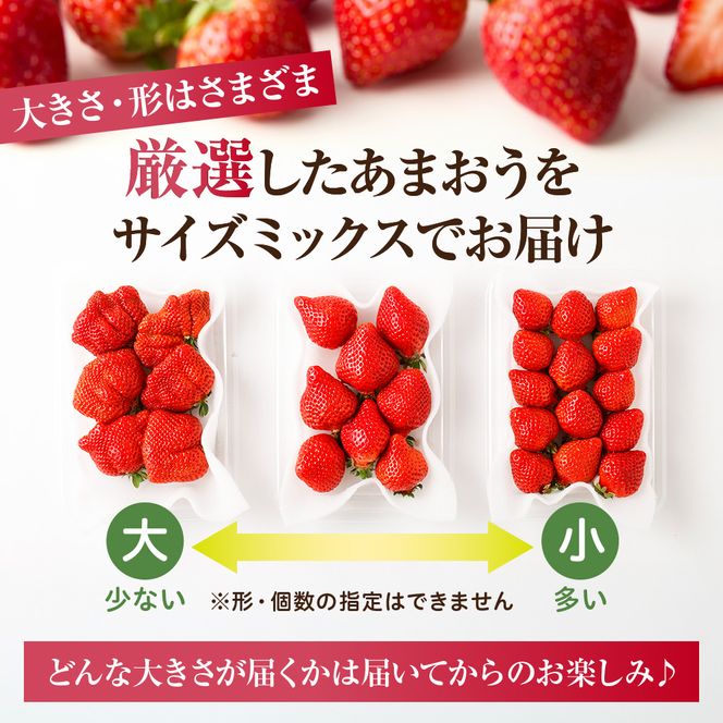 【定期便／3ヶ月連続お届け】アフター保証 博多あまおう 約280g×2パック 計3回 総量1.68kg 3カ月定期便【JAほたるの里】_HB0075