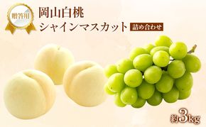 桃 ぶどう 2026年 先行受付 贈答用 白桃 シャインマスカット 詰め合わせ 約3kg フルーツ 果物 岡山 赤磐市