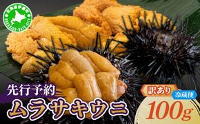 ＜先行予約＞ 北海道産 ムラサキウニ（訳あり）【ogm-028】うに 海鮮 訳あり 国産 北海道 伊達 ふるさと納税