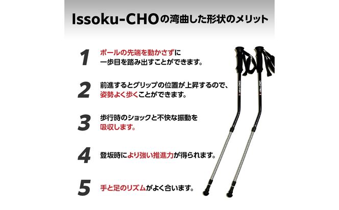 【R17033】ウォーキングポール Issoku-CHO（1足長） ブラックシルバー 2本1セット 