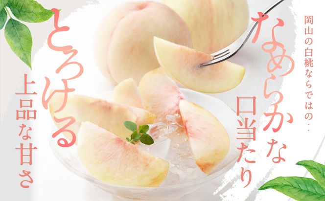 桃 2026年 先行予約 白桃 5玉 合計約1.3kg もも モモ 岡山県産 国産 フルーツ 果物 ギフト