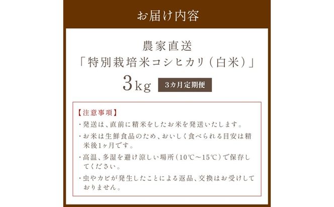 【3ヶ月定期便】2026年産 京都・京丹後峰山 特別栽培米コシヒカリ 3kg 【白米】 1等米 検査済証付　お米 精米 お弁当 おにぎり 京都府産 白米 特別栽培 一等米 ふるさと納税 米 定期便 生産者応援 農家応援　MF00083