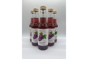 京丹後のぶどう炭酸ジュース（ソーダ） 小瓶6本入り（2025年9月下旬～発送）　SF00041