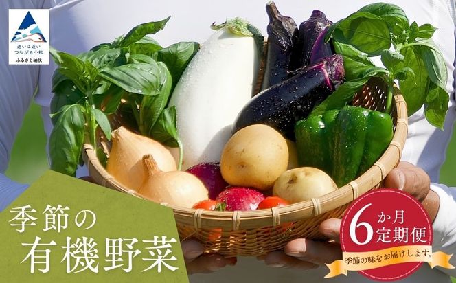 西田農園　季節の有機野菜詰合せ　6ヶ月定期便  da003t06