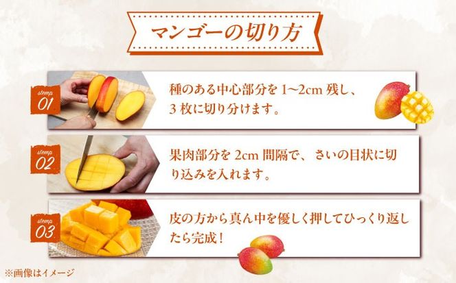 先行予約 2026年発送 予約受付】【贈答用】仲村農園の完熟