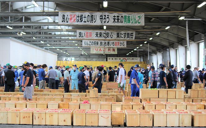 【11月発送】家庭用 サンふじ 約3kg 果物類 フルーツ 林檎 リンゴ 鶴田町 青森県 おやつ デザート